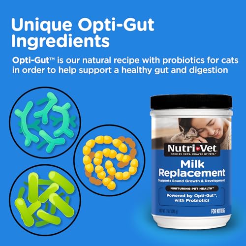 Kitten Milk Replacer (12 Ounce (Pack of 1))