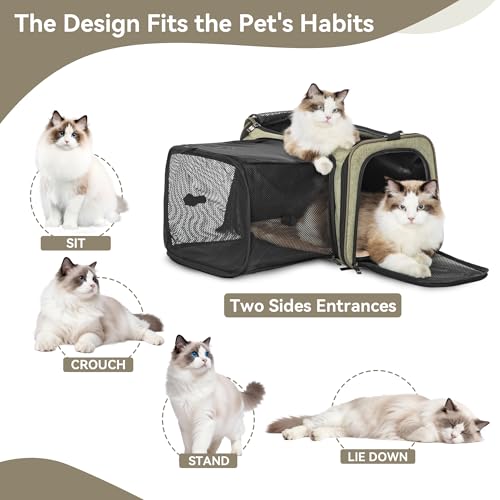 19"X12" X12" Expandable Pet Carrier (19.0"L x 12.0"W x 12.0"H / Green)