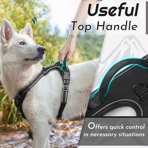 Dog Harness for Small Dogs (Small / Black)