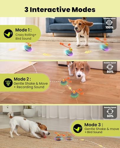 Interactive Dog Ball with Rope (Blue)