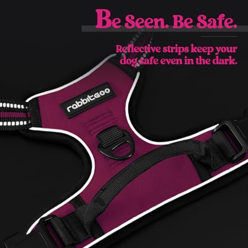Dog Harness No Pull for Large Dogs with 2 Leash Clips (X-Large / Hot Pink)