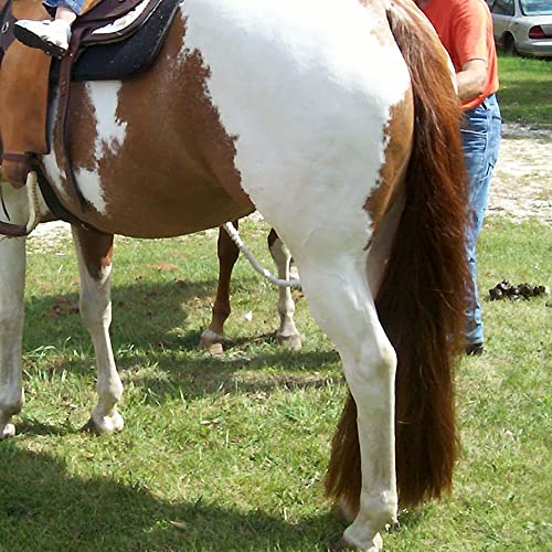 Horse Tail Extensions with Braided Horsehair Loop (1/2 LB (34"-36") / Med Sorrel)