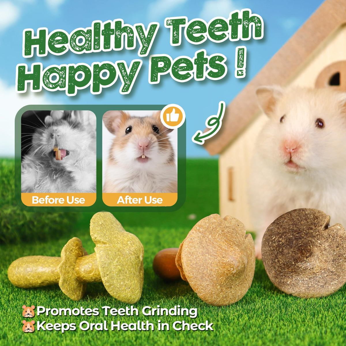 3PCS Guinea Pig Chew Toys (3PCS-Mushrooms)
