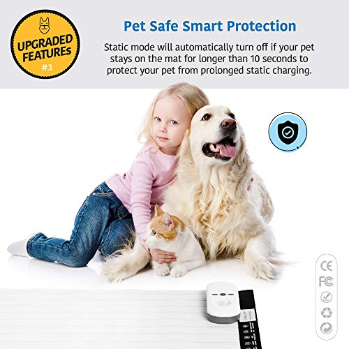 Pet Training Mat (30" x 16" / White Controller)