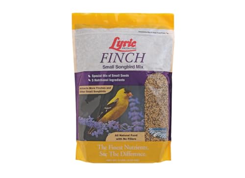 Small Songbird (5 Pound (Pack of 1))