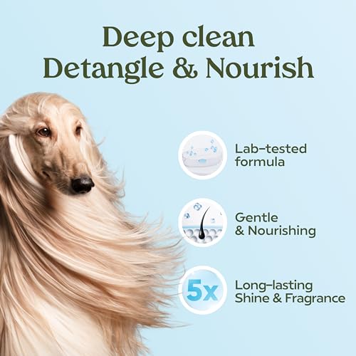 PAWFUME Dog Shampoo and Conditioner (Shampoo & Conditioner Blue Ribbon / Pack of 4)