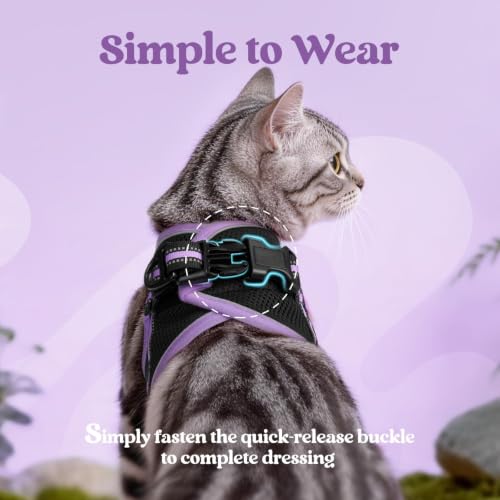 Cat Harness and Leash Set (XL / Black-Light Purple)