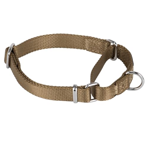 Martingale Dog Collar (Small / Army Yellow)