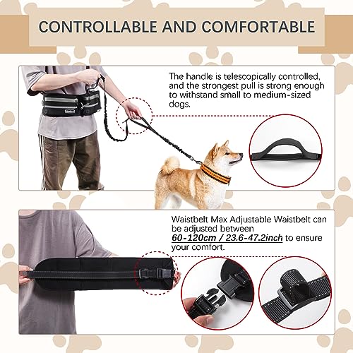 Hands Free Waist Leash with Pouch for Two Dogs (Grey)