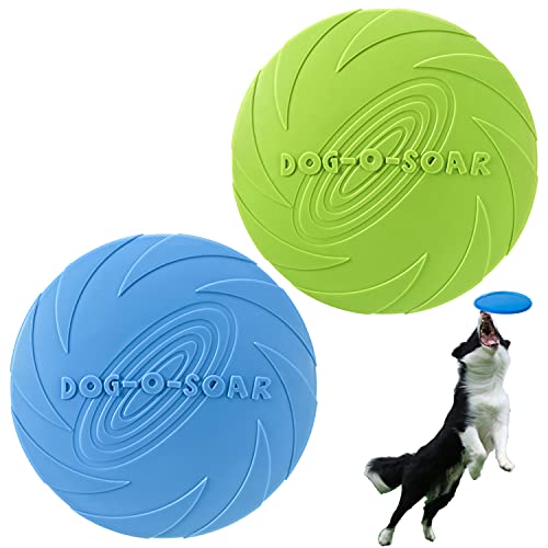 Dog Flying Disc (Blue & Green)