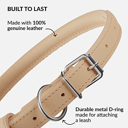 Tangle Free Rolled Leather Dog Collar (Beige / XXS)