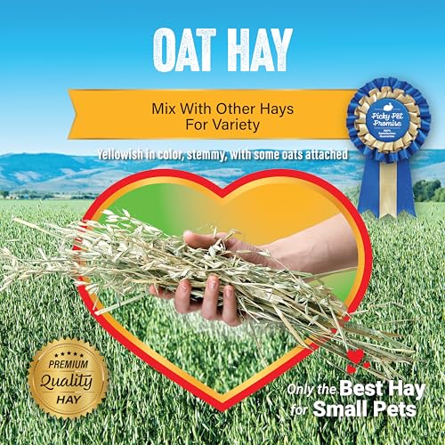 Oat Hay for Rabbits (5 Pound (Pack of 1))