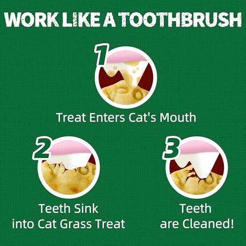 Cat Grass Treats with Salmon Oil 13.4 OZ (13.4 Ounce (Pack of 1))