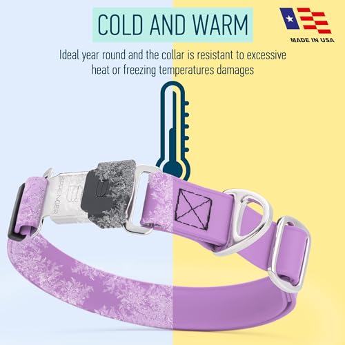 Biothane Waterproof Dog Collar with Herm Sprenger Black Stainless Steel Quick Release Buckle (W 1" x L 15"-25" / Amethyst Purple)