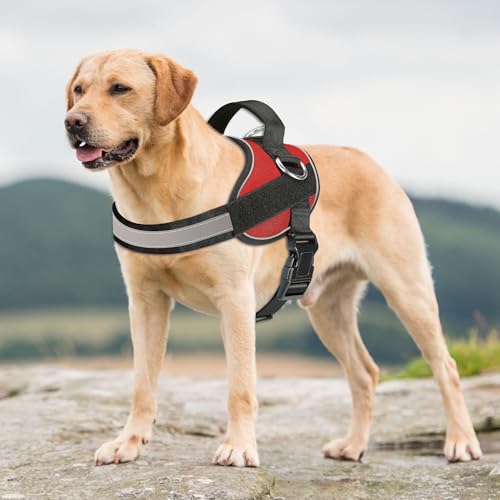 Essential Dog Harness (XL / Red)