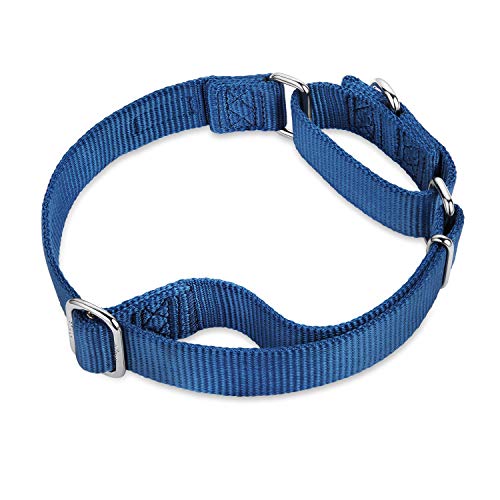 Martingale Collar for Dogs Large Blue (Large / Classic blue)