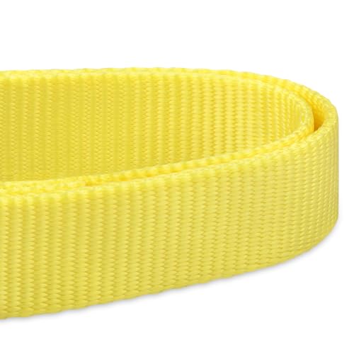 Yellow Dog Collar for Large Dogs (Large / Luminous Yellow)