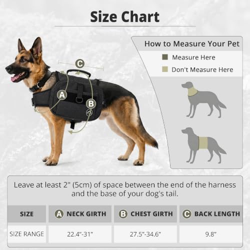 Dog Backpack & Saddle Bag (Black)