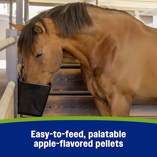 Apple Elite Horse Electrolytes Pellets Supplement (7.5 pounds)