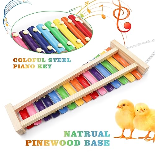 Large Colorful Chicken Xylophone Toy