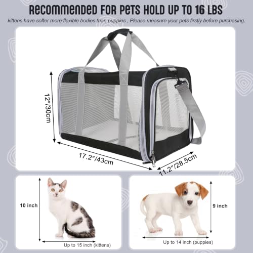 Pet Carrier for Large Cats of 20 Lbs (Black)