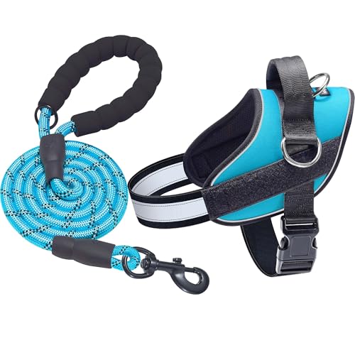 Essential Dog Harness (XL / Blue)
