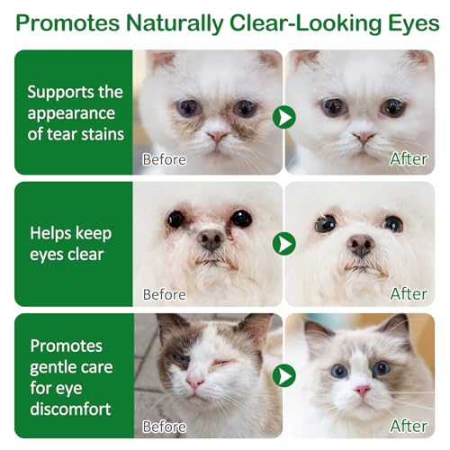Eye Drops for Dogs (1PCS)