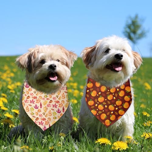 Fall Dog Bandana 2 Pack Funny Fall Holiday Dog Bandanas Halloween Thanksgiving Bandana for Dogs Lover Pet Scarf Accessories Pet Scarf for Small Medium Dogs & Cats (F)