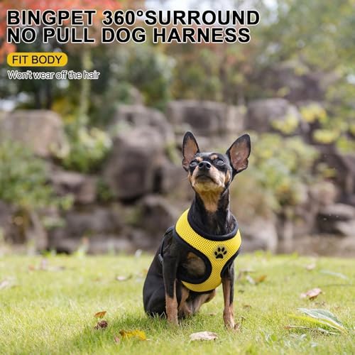 Small Dog Harness (S (NECK: 12", CHEST: 14"-18") / Yellow)