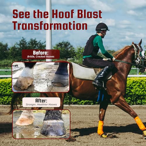 Hoof Supplements for Horses (10 Pounds)