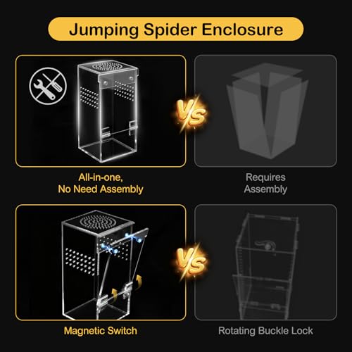 Jumping Spider Enclosure Starter Kit (Green / Small)
