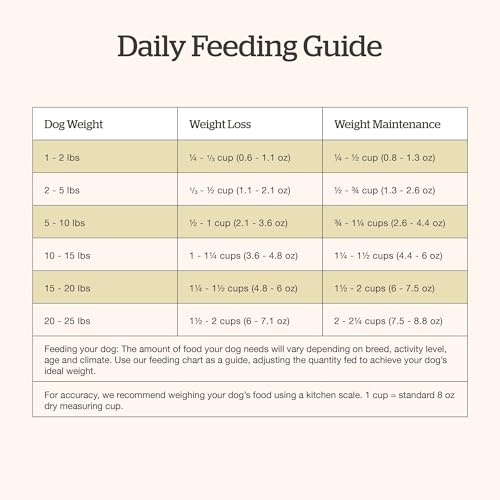 Small Breed Adult Dry Dog Food (22 Pound (Pack of 1))