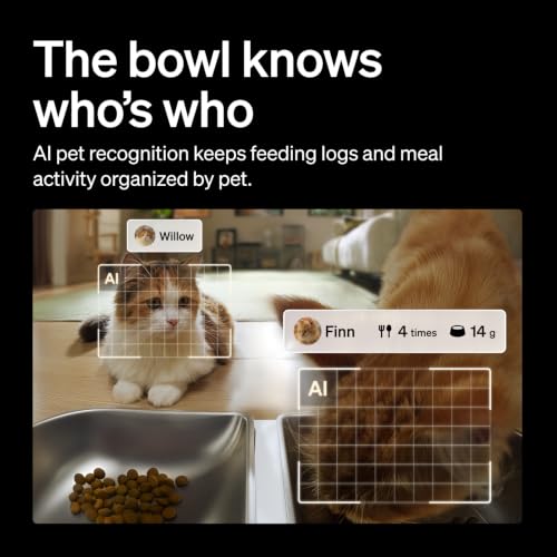 Automatic Cat Feeder for 2 Cats (5l dual bowl)