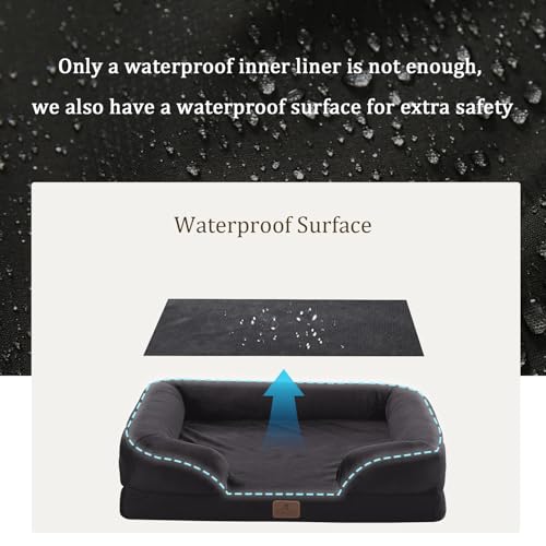 Orthopedic Dog Bed (24.0"L x 18.0"W x 6.0"Th / Black)