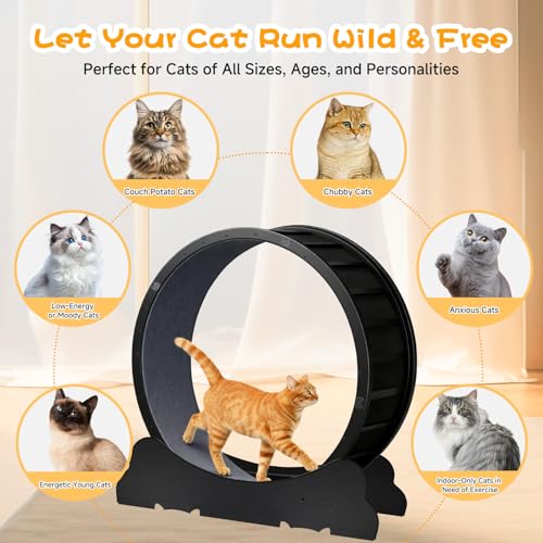 Cat Wheels 40" Diameter