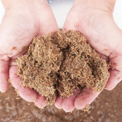 2 Quarts Organic Fiber Substrate for Pet Snail (2QT)