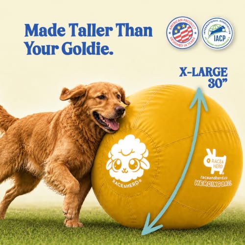 30" Original Herding Ball for Dogs (Gold - XL 30" Herding Ball Set / XL 30")