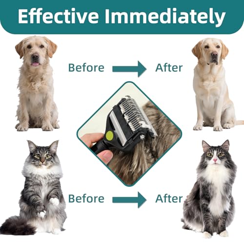 3-IN-1 Pet Grooming Tool - Undercoat Rake, Dematting Comb & Deshedding Brush for Cats, Dogs, Horses - Removes Mats, Tangles & Loose Fur, Reduces Shedding & Prevents Hair Mess (Green) (Green)
