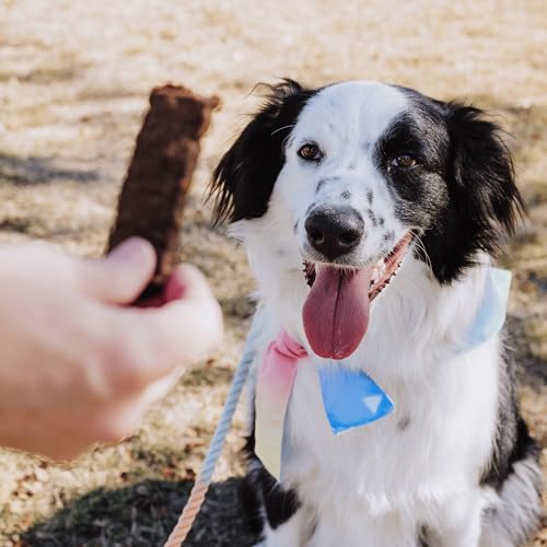 Beef Jerky Dog Training Treats (5 Ounce)