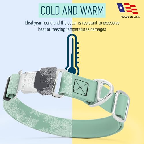 Biothane Waterproof Dog Collar with Herm Sprenger Black Stainless Steel Quick Release Buckle (W 1" x L 15"-25" / Sage Green)