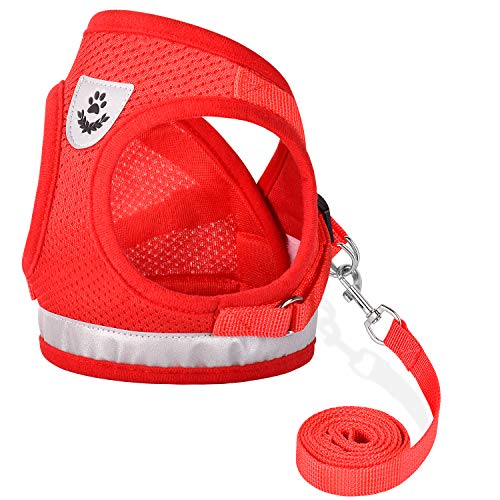 Cat Harness and Leash Set (S (Chest: 9" - 11") / Red)