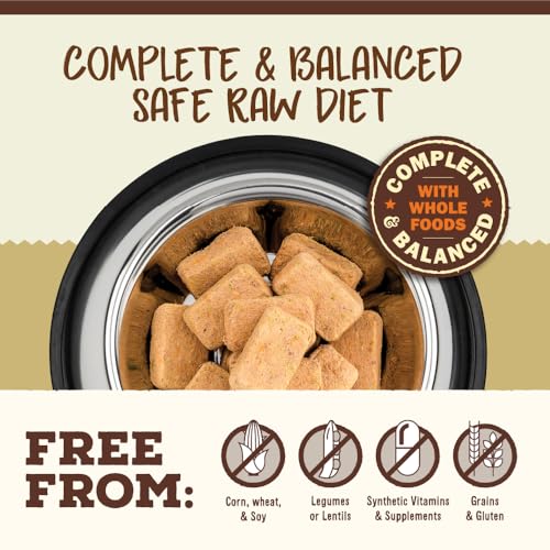 Primal Freeze Dried Raw Cat Food Nuggets (14 Ounce (Pack of 1))