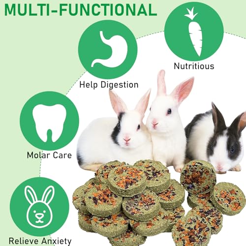 24 PCS Rabbit Chew Toys