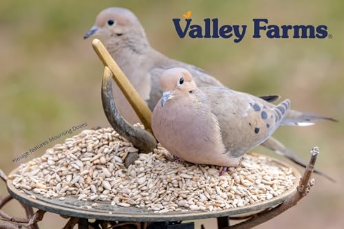 Whole Sunflower Hearts for Birds 4 LB 2 (4 Pound (Pack of 2))