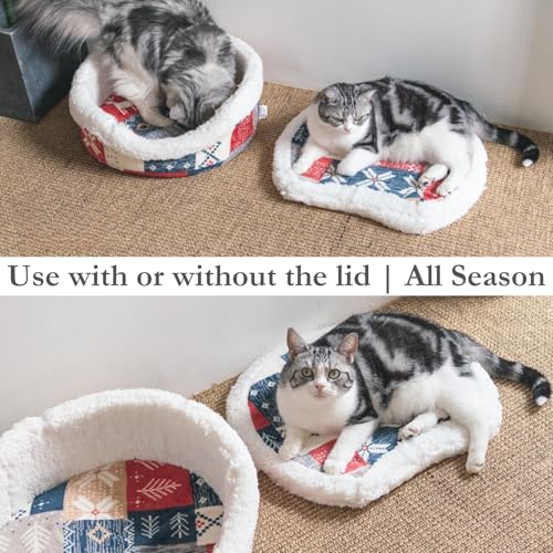 Cat Cave Bed Enclosed Self Warming Hideaway with Detachable Lid & Mat