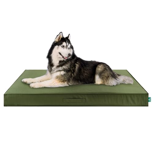 Cooling Dog Bed (Jumbo Plus / Green)