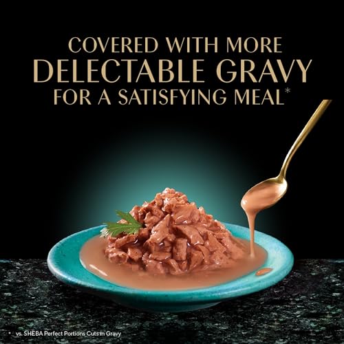 Gravy Indulgence Wet Cat Food (12 Count (Pack of 2))