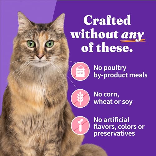 Soft Pate Wet Cat Food