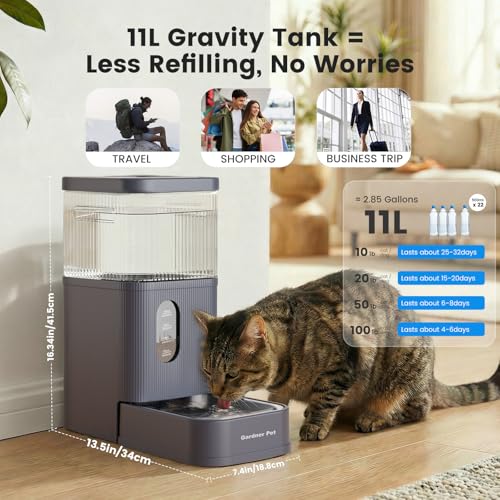 2.9 Gallon Automatic Dog Water Dispenser with Stainless Steel Bowl (Grey / 2.9 Gallon)