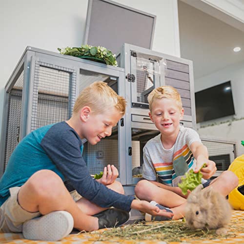 Indoor Rabbit Hutch Guinea Pig Cages with Chew (Grey / 40.6"L x 26.0"W x 37.3"H)